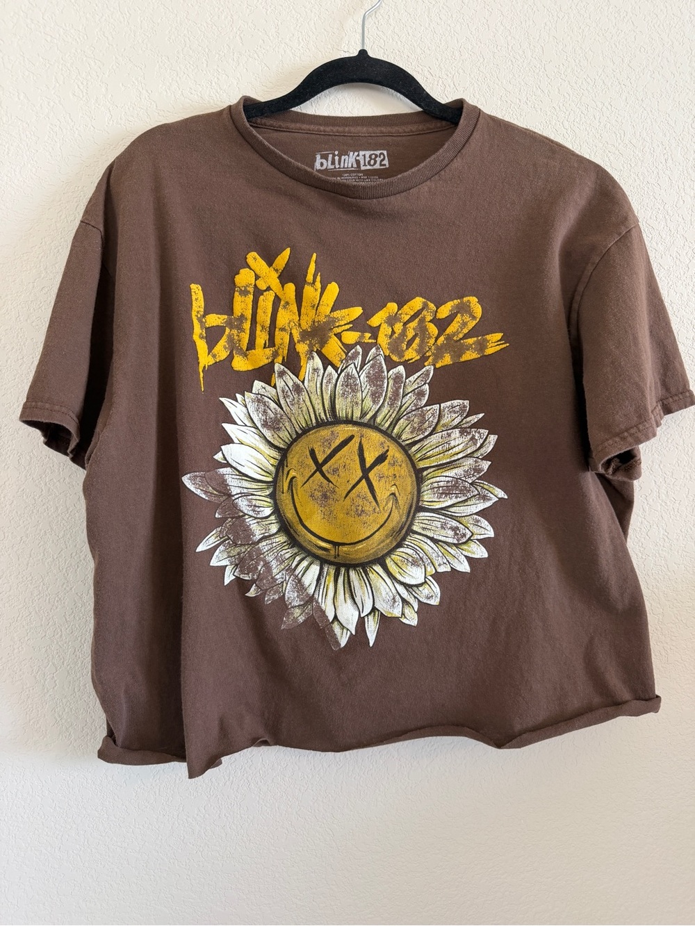 Blink 182 Cropped Brown Short Sleeve Graphic Tee with Yellow Sunflower Graphic - Picture 2 of 4